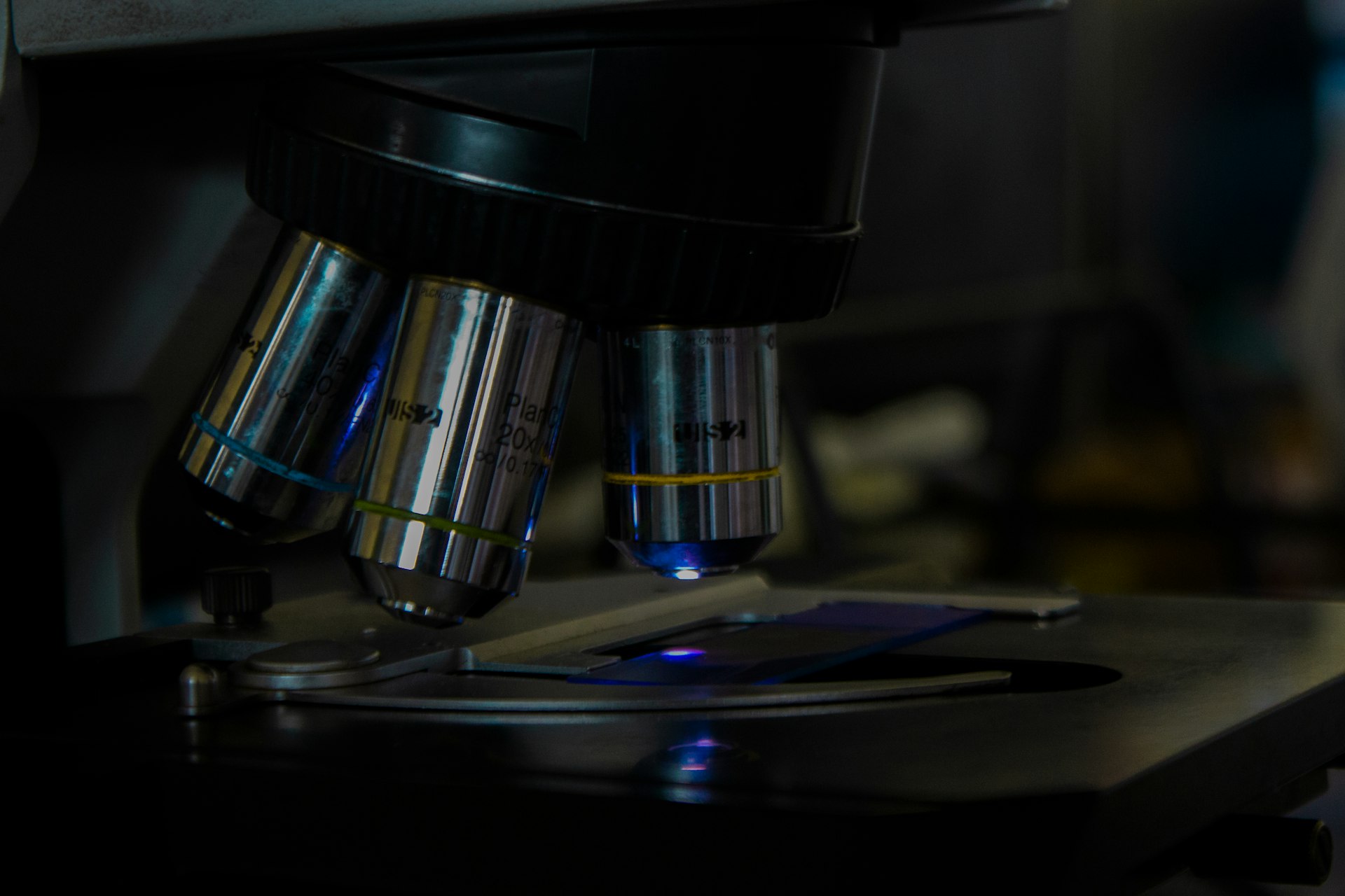 Harnessing Bioinformatics Tools for Effective Disease Outbreak Tracking: Strategies, Solutions, and Real-World Guidance