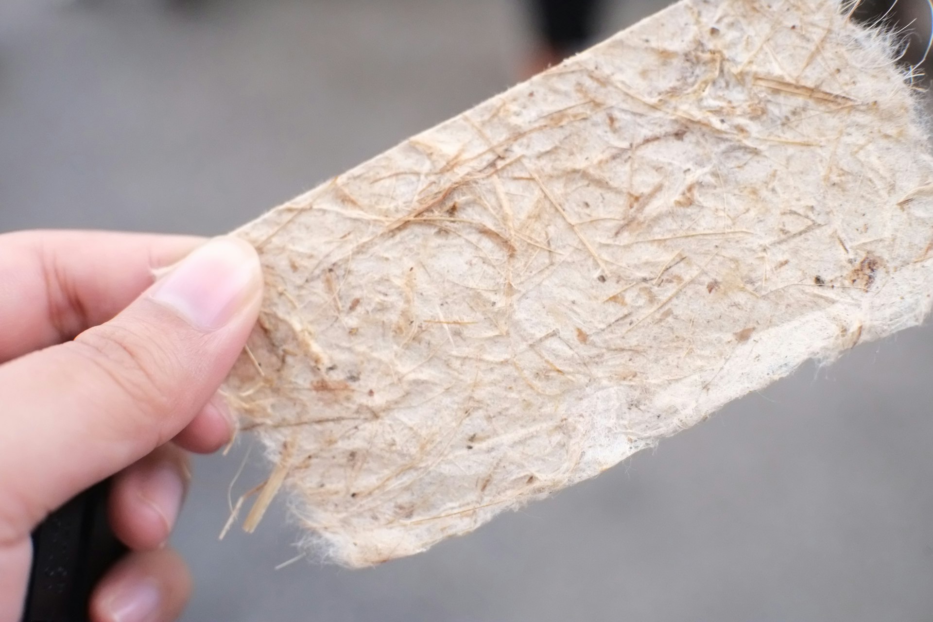 Biodegradable Materials: Pioneering Innovations Transforming Sustainable Industries