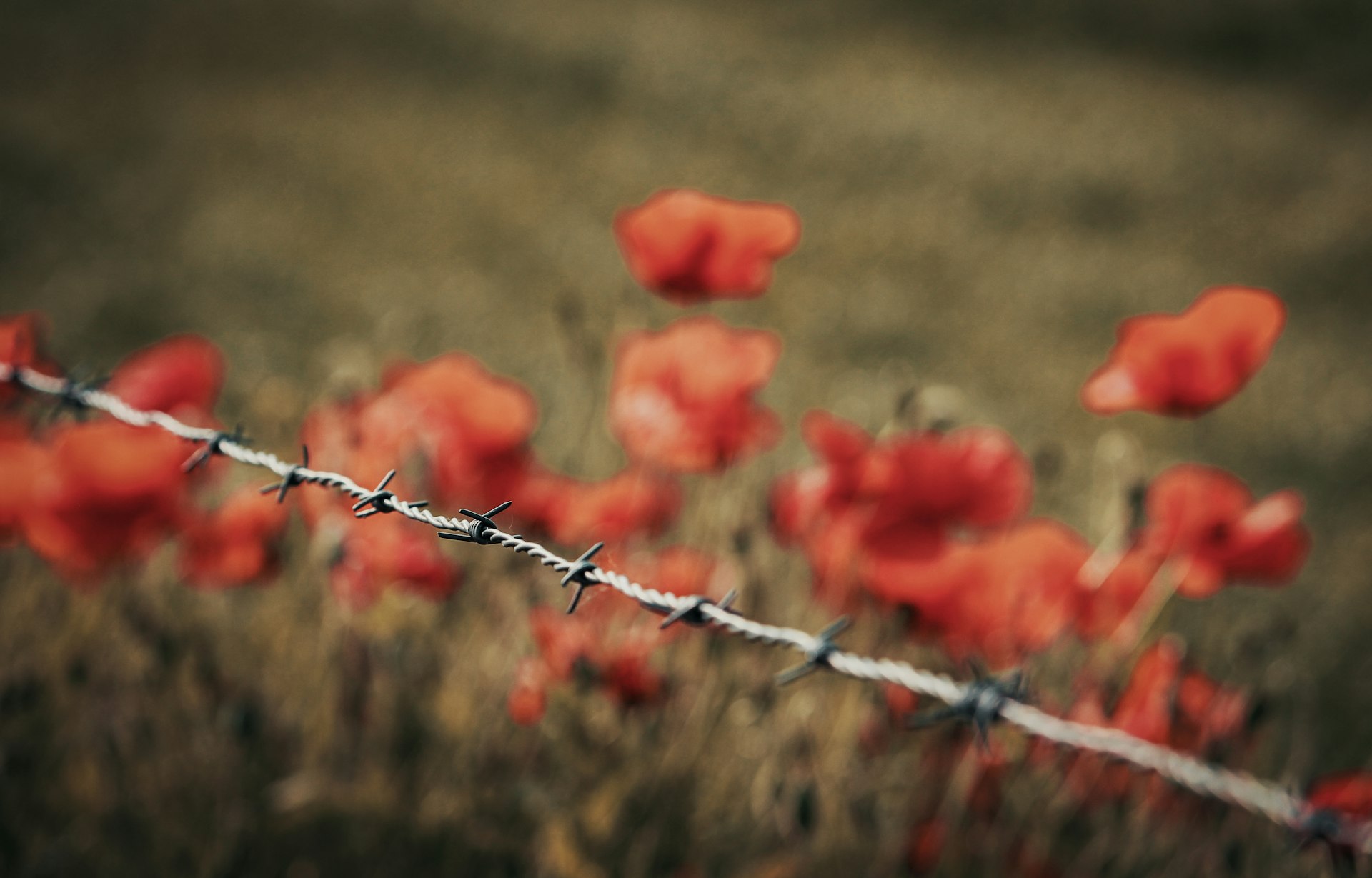 Unveiling the Untold Stories of World War II: Hidden Narratives and Lasting Impact