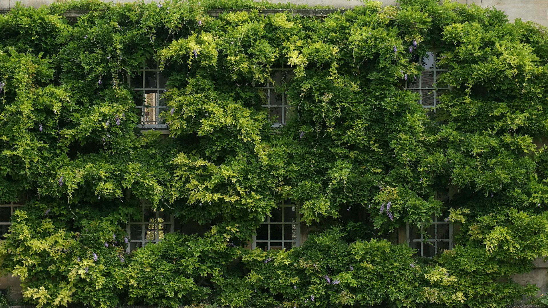 How Green Technology is Shaping a Sustainable Future: Trends, Innovations, and Actionable Pathways