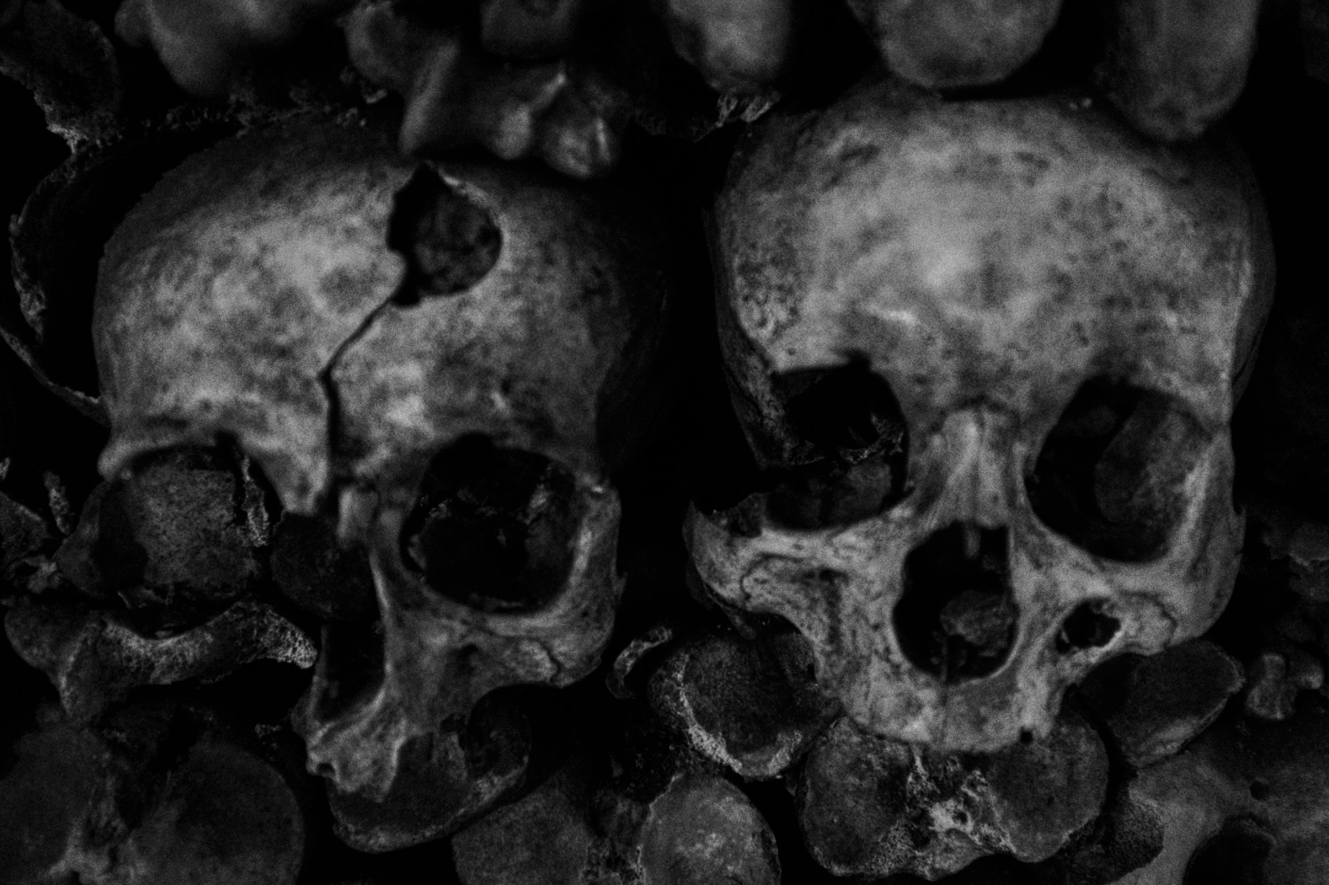 The Black Death: Origins, Impact, and Enduring Consequences
